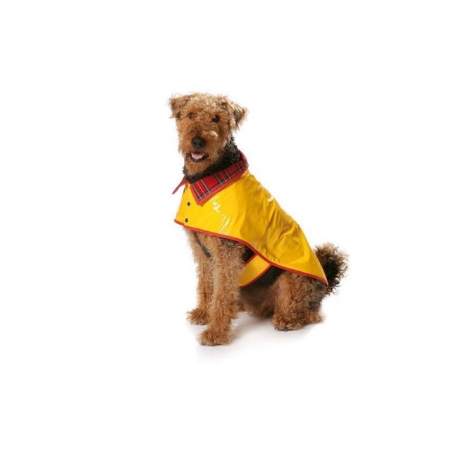 Patron Burda 7752 Manteau pour chien