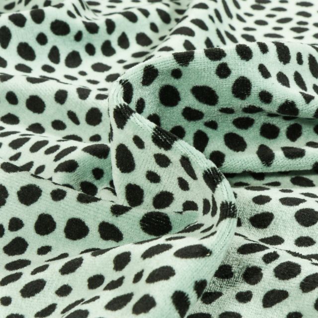 Tissu Jersey Velours tout doux Dalmatien sur fond Vert menthe