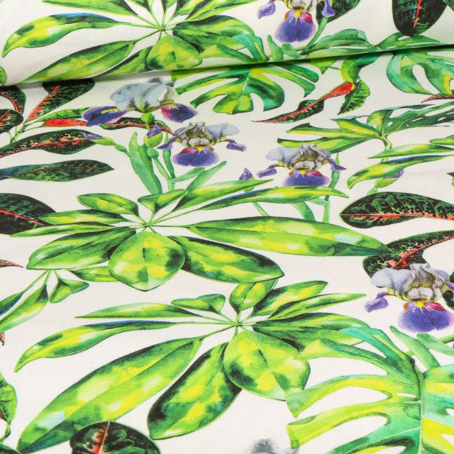 Tissu Toile Transat Dralon Tropicana sur fond Blanc