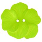 Bouton fleur exotique 48 mm - Vert