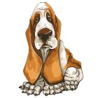 Sticker textile thermo-adhésif  9x15 cm - Dessin chien Basset Hound  