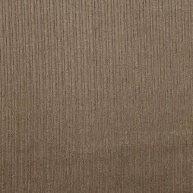 Tissu Velours côtes uni Beige