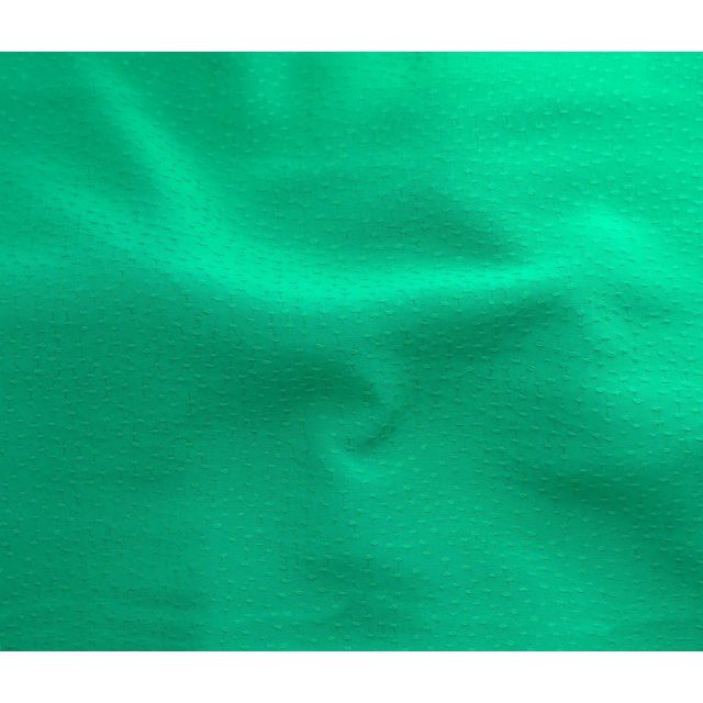 Tissu Viscose Rajah sur fond Vert