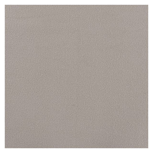 Tissu Jersey Velours éponge envers polaire uni Beige