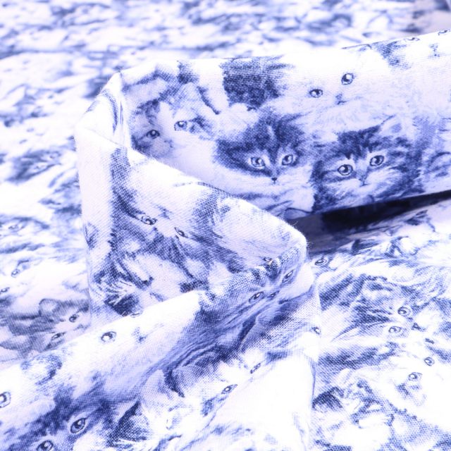 Tissu Coton imprimé QT Fabrics Beautiful Cat bleu sur fond Blanc