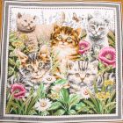 Panneau carré jacquard 48x48cm Miaou sur fond Blanc